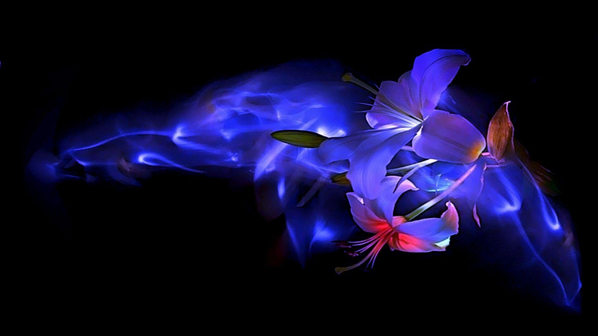 Flower: Blue Romances Caring Beauty Tulips Love Flower Abstract