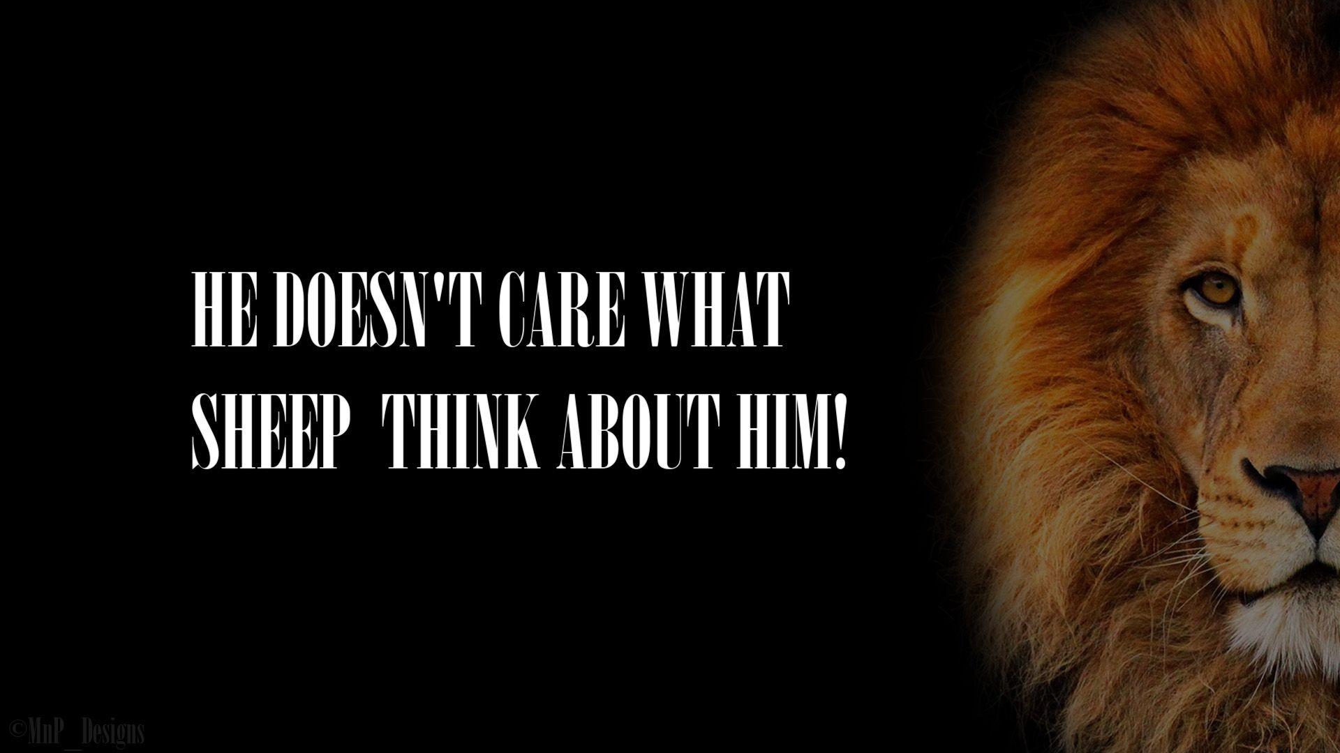Lions Don`t Care! By MnP Designs
