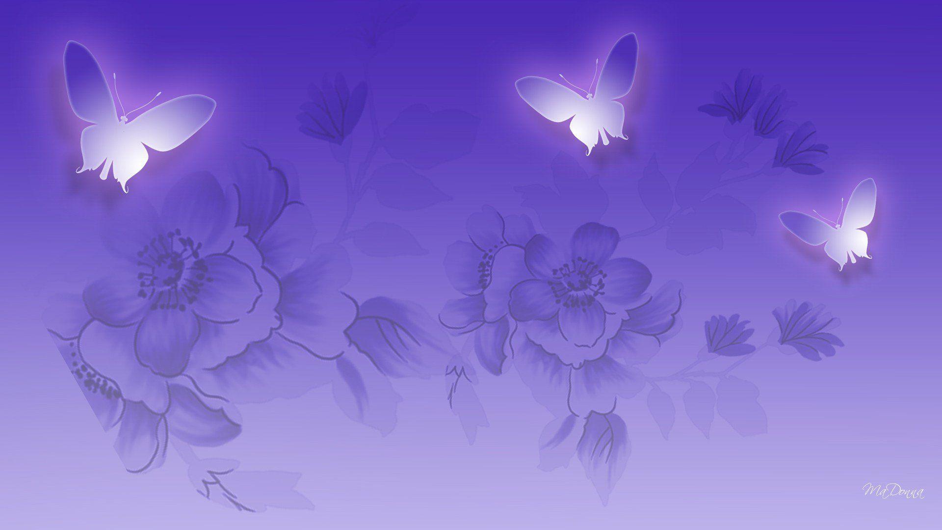Lilac Wallpaper, Interesting Lilac HDQ Image Collection, High