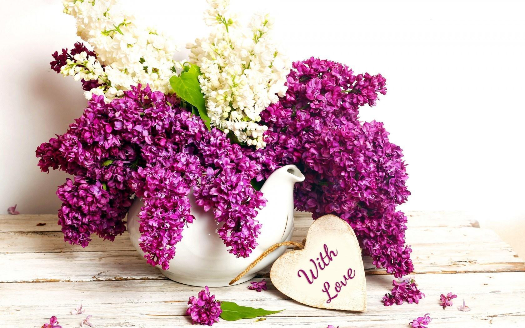 Lilac Flowers Purple Spring Vase HD desktop wallpaper, Widescreen