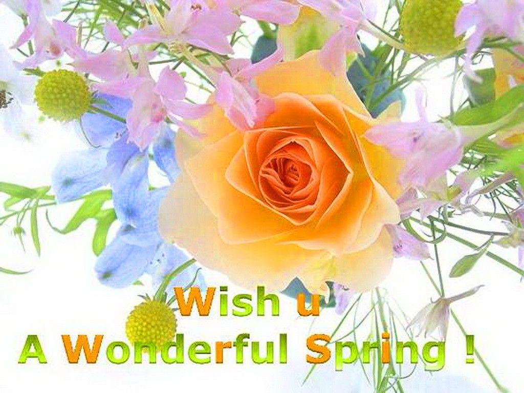 Flowers: Spring First Message Rose Flowers Day Flower Wallpaper