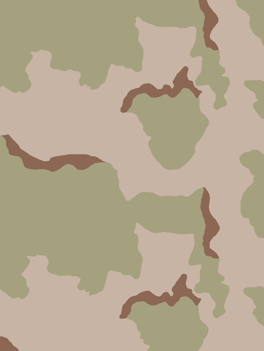 desert camouflage
