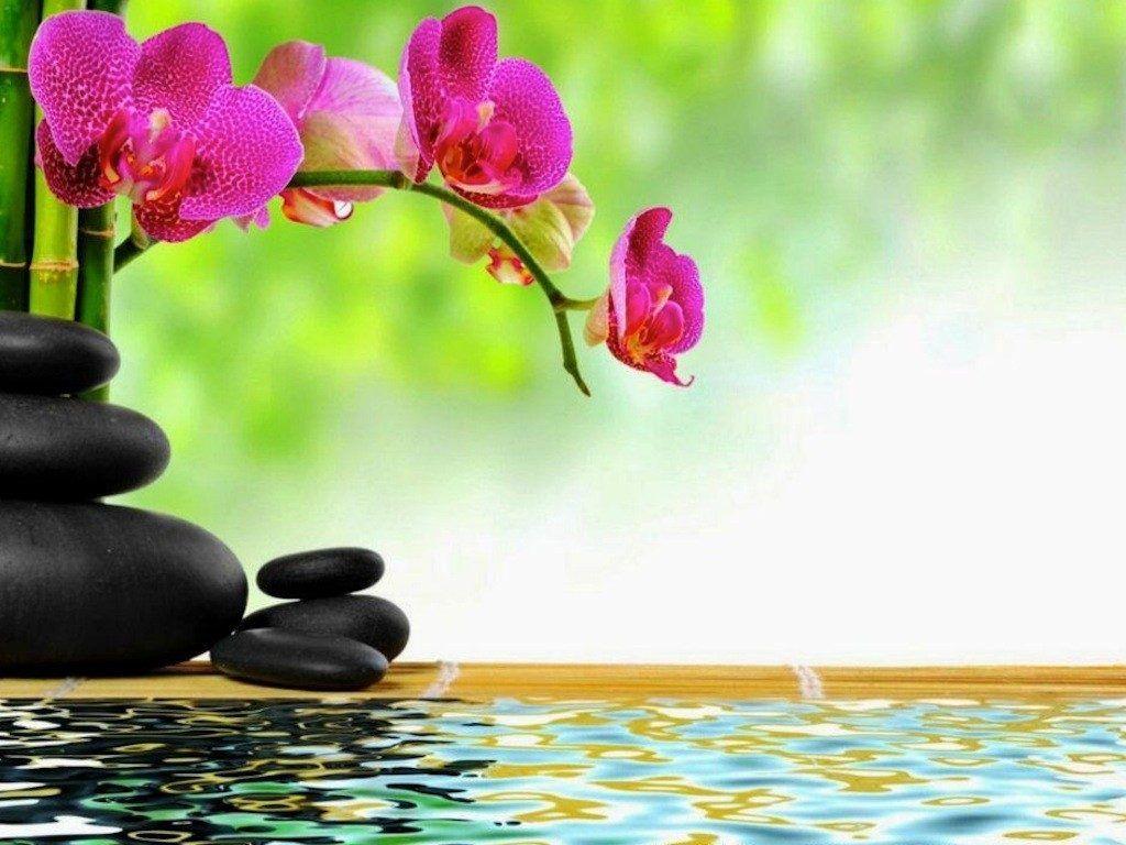Relaxing View Wallpaper wallpaper Collections
