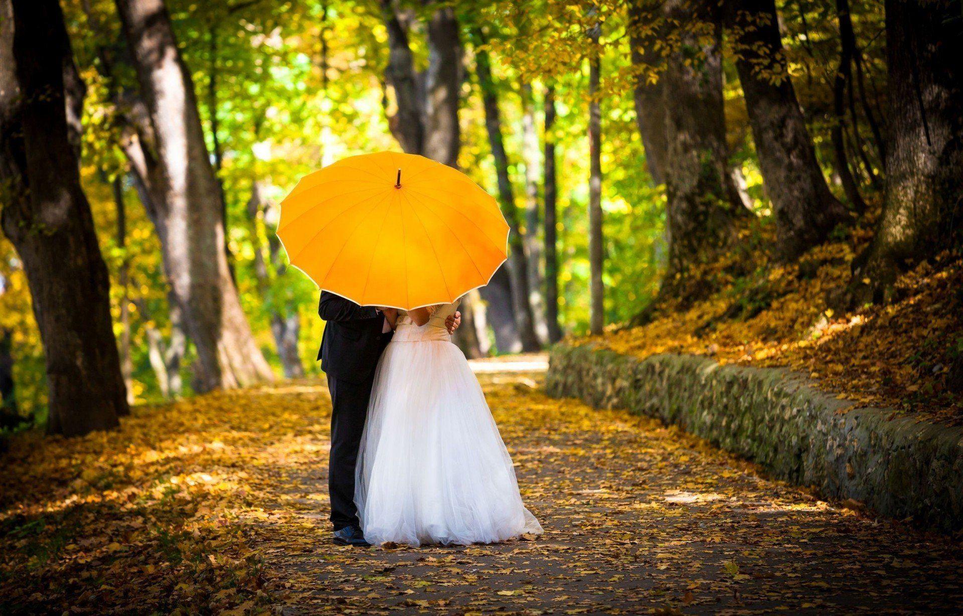 bride man yellow background a woman wallpaper wedding autumn