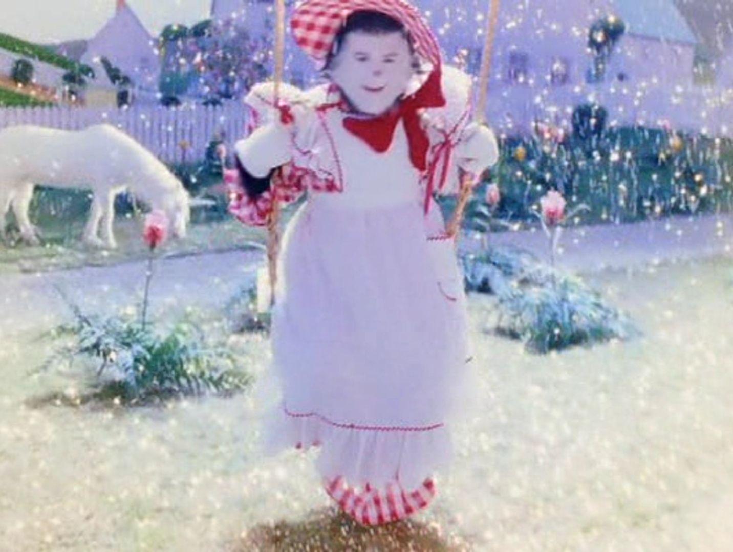 Cat in the Hat (Movie) image my gat HD wallpaper and background