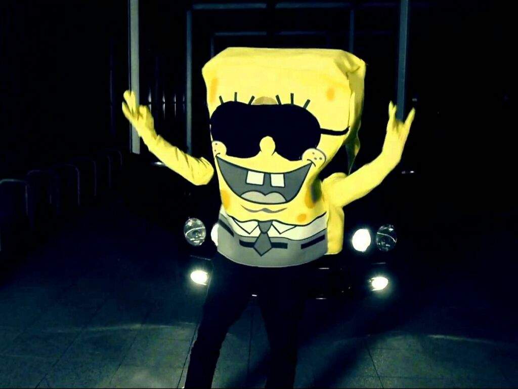 BBM вιĸιnι вoттoм мaғιa. Kittydog Amino Amino