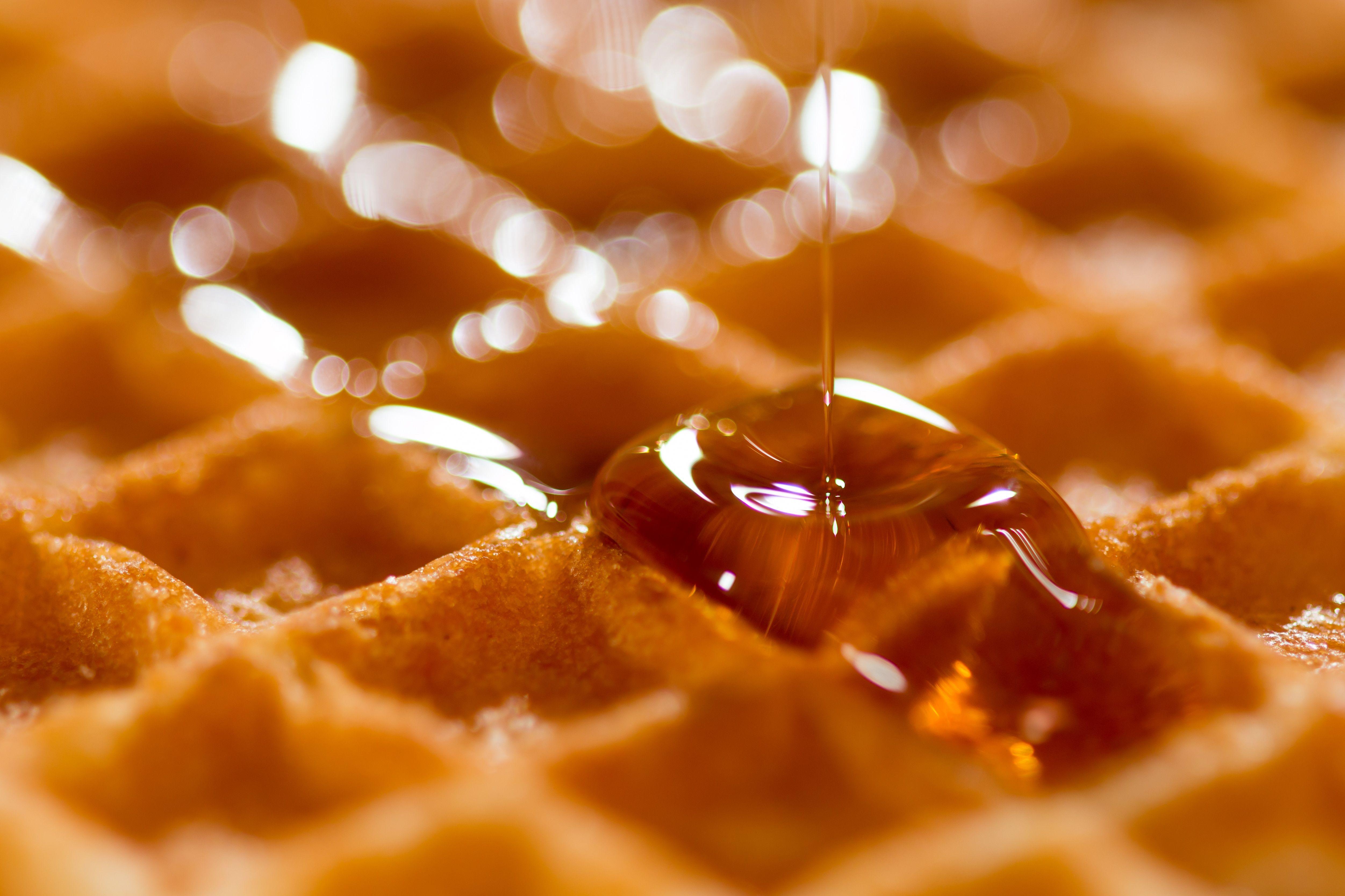 honey syrup poured on belgian waffle free image
