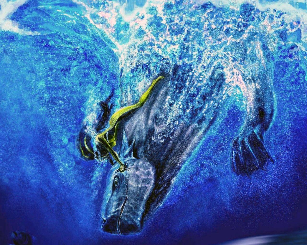 Swimmer Wallpapers - Wallpaper Cave