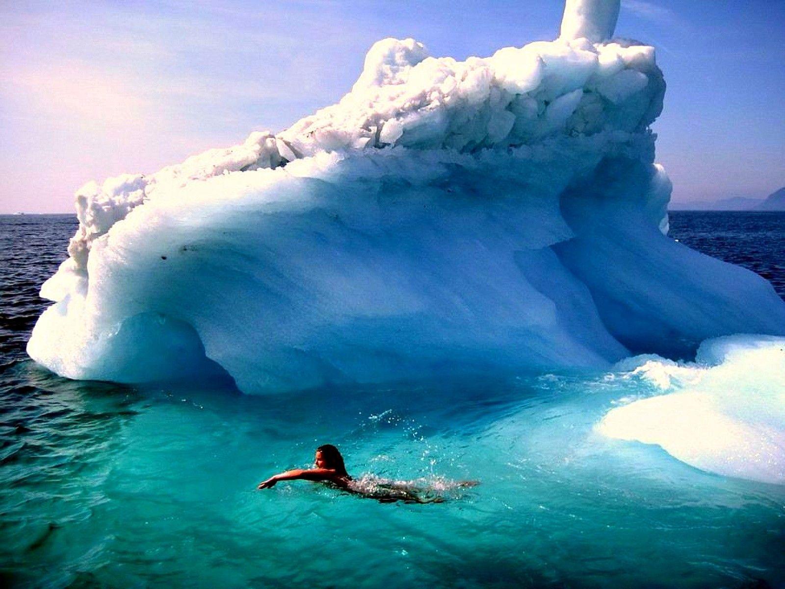 Oceans: Swimming Iceberg Nature Ocean Swimmer Free Wallpaper