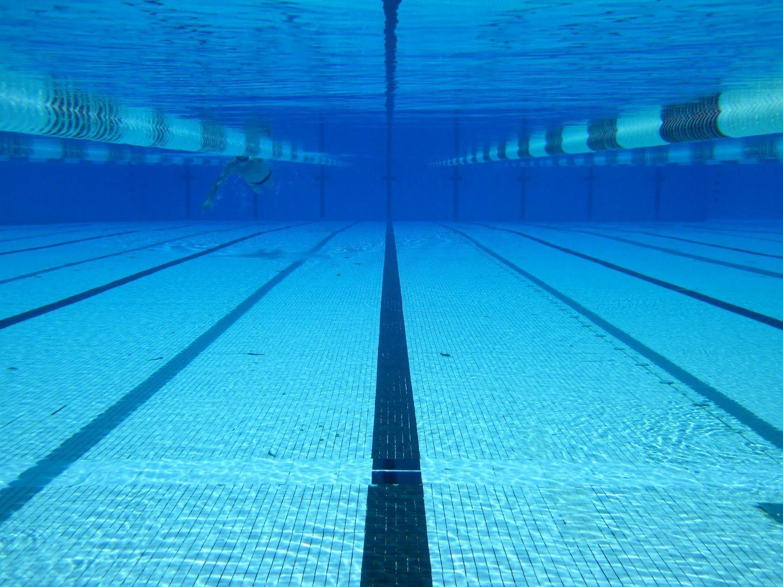 Sports swimming pool underwater blue water 25 meter swimming pool  swimming concepts HD wallpaper  Peakpx