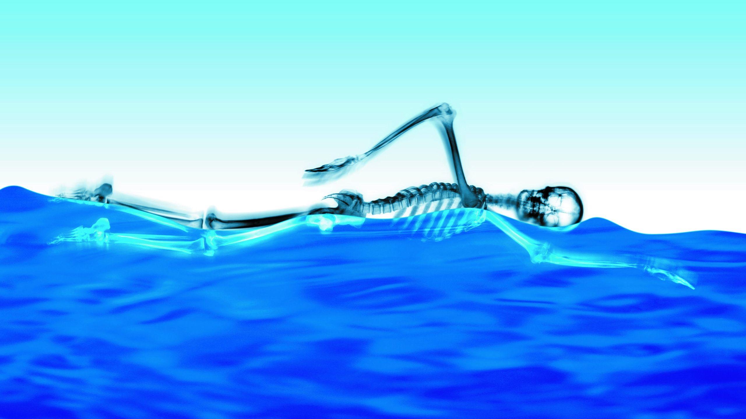 Swimming Skeleton desktop PC and Mac wallpaper