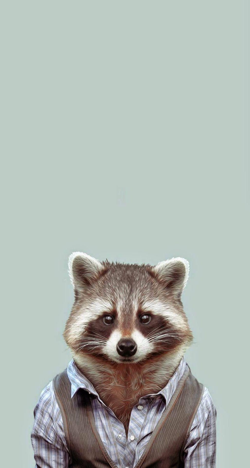 Yago Portal Zoo Portraits Common Raccoon iPhone 6 Plus HD