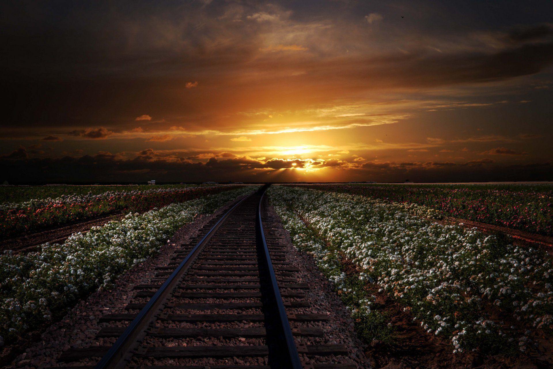 rails railroad of the field flower the distance sunset HD wallpaper