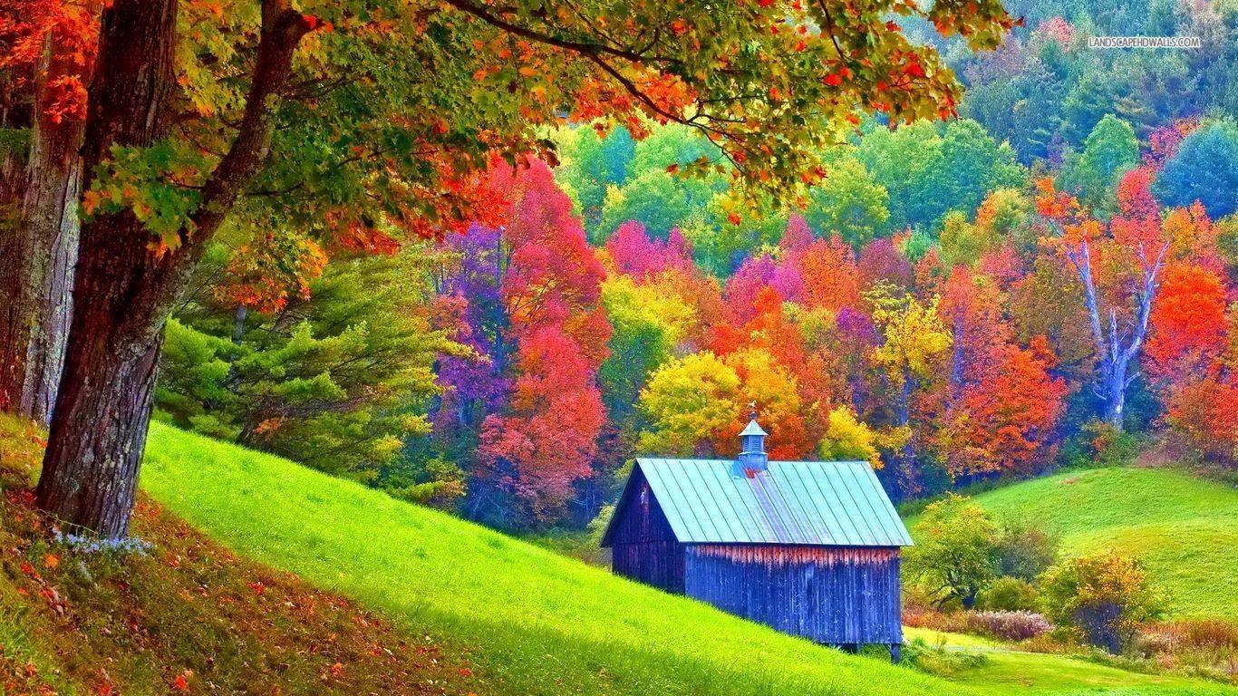 Forest: Colorful Autumn Forest Shed Nature Trees Forests Amazing