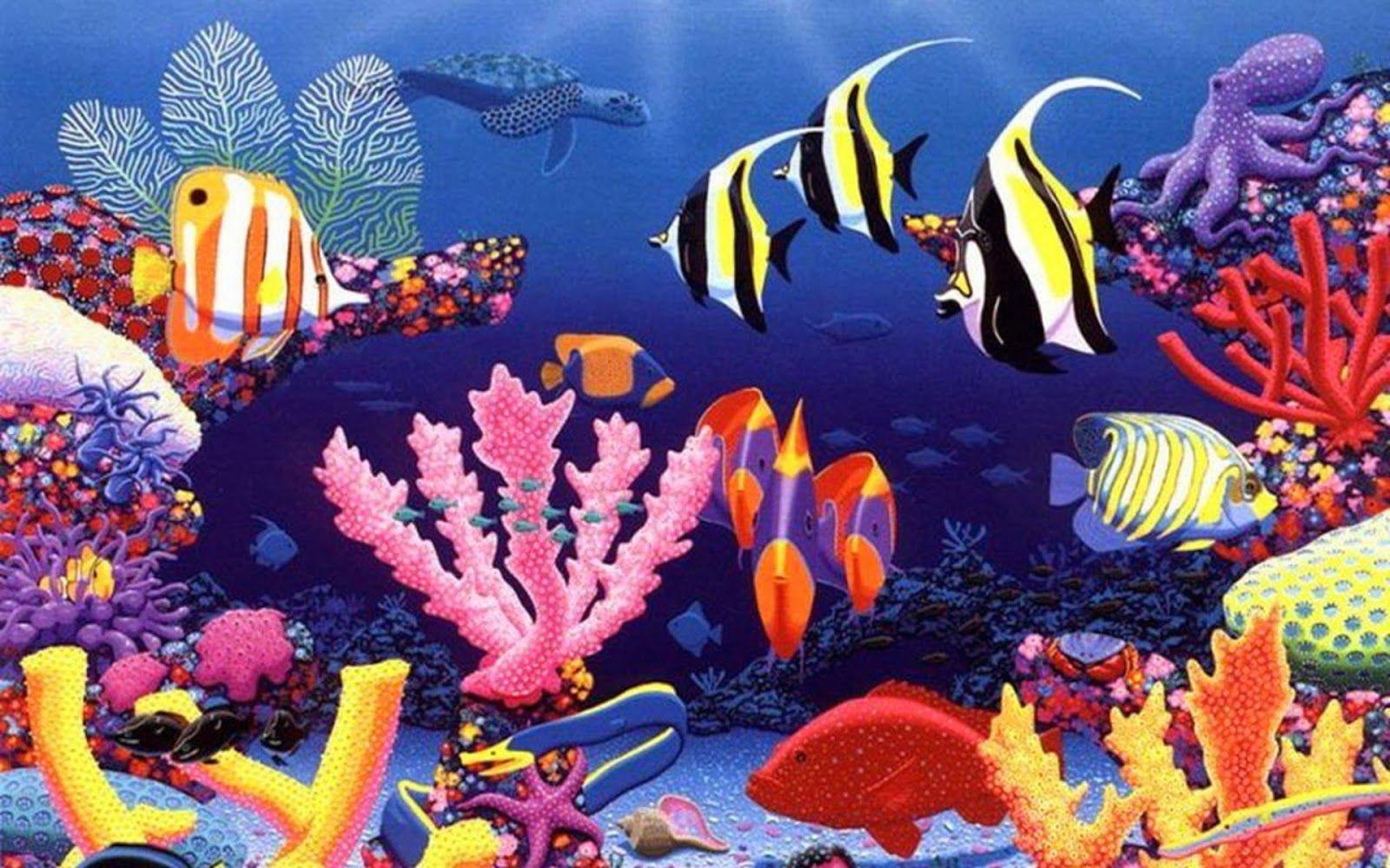Desktop HD wallpaper: Beautiful water animals wallpaper