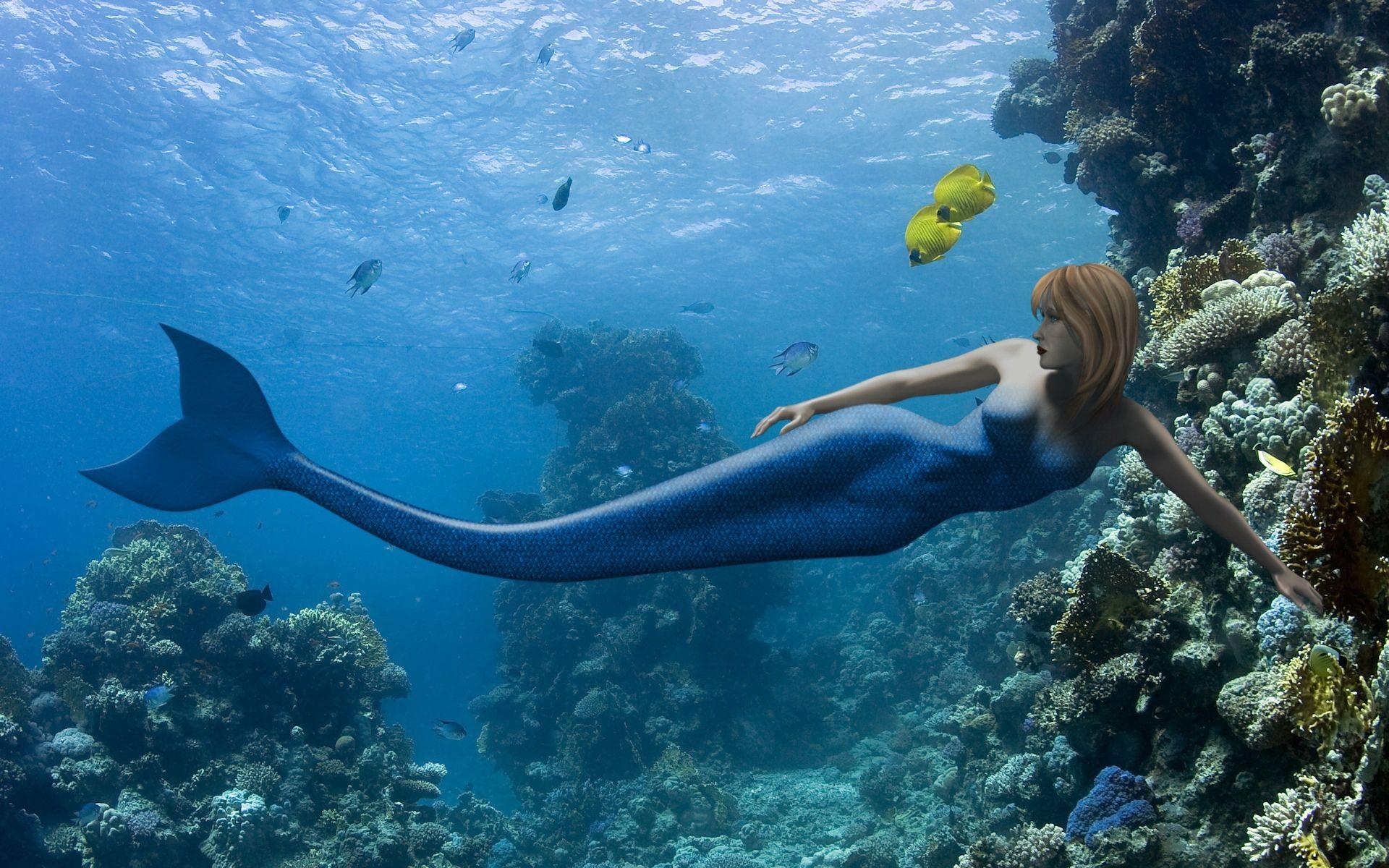 Mermaid Image, High Definition, High Quality, Widescreen