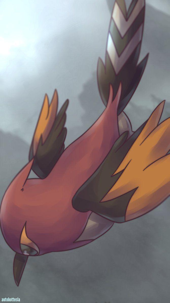 best Fletchinder image. Fan art, Fanart and My