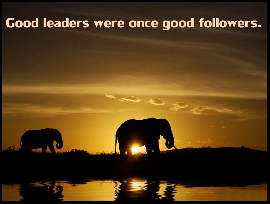 Leadership Quotes Wallpaper QUOTES PIC