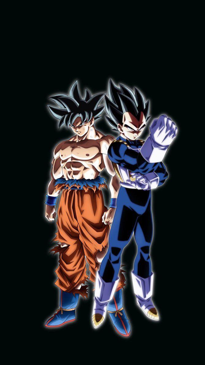 Goku and Vegeta (Ultra Instinct)
