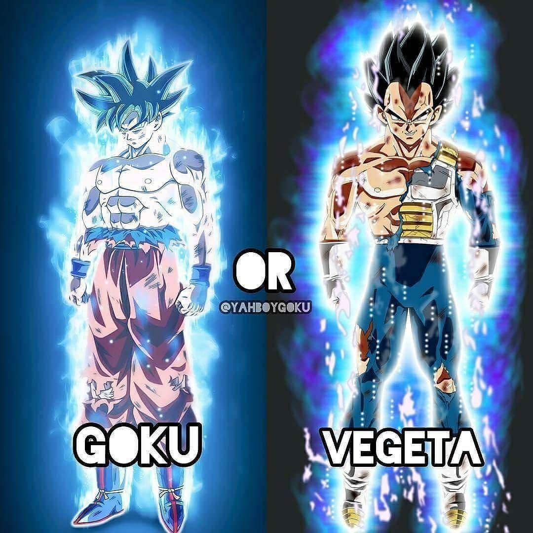 Goku Ultra Instinct or Vegeta Ultra Instinct