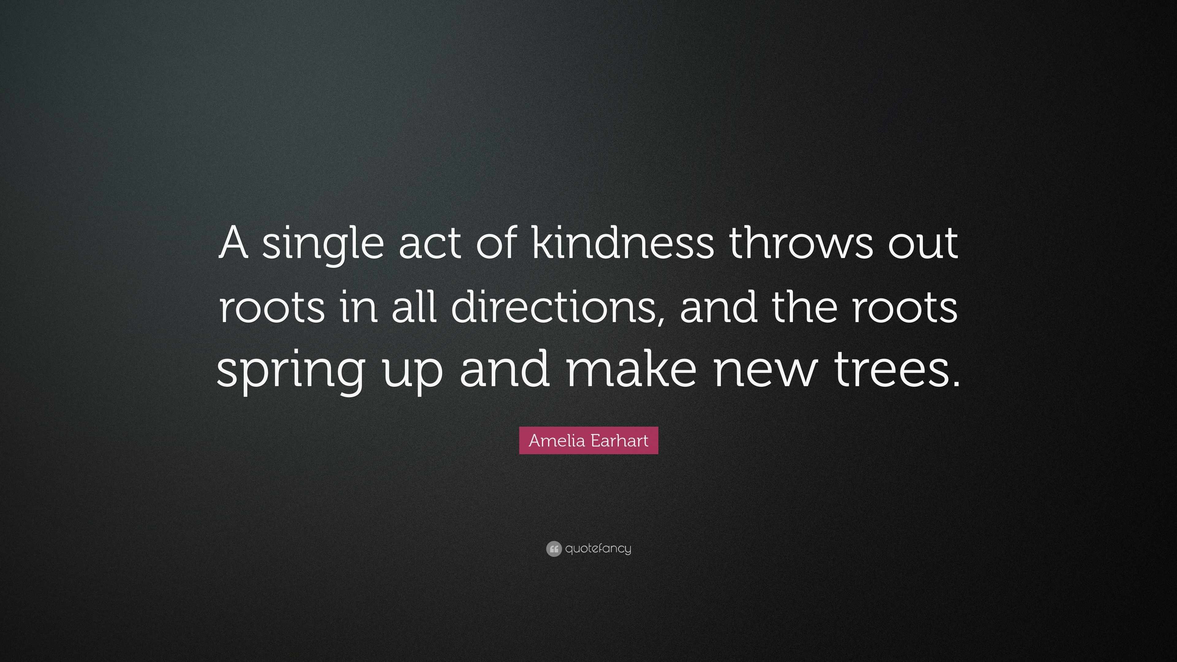 Amelia Earhart Quote: “A single act of kindness throws out roots