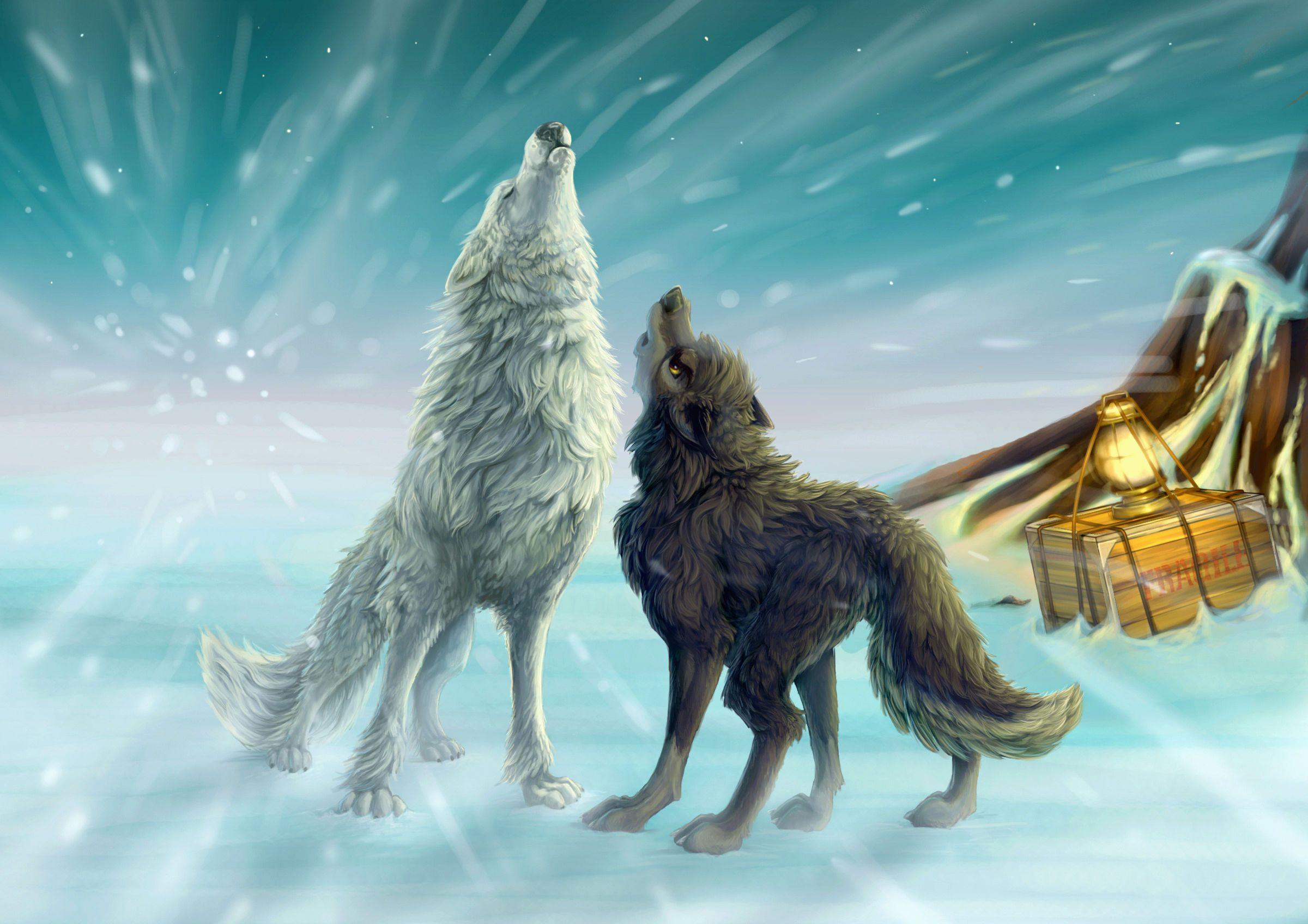 Desktop anime wolf wallpaper