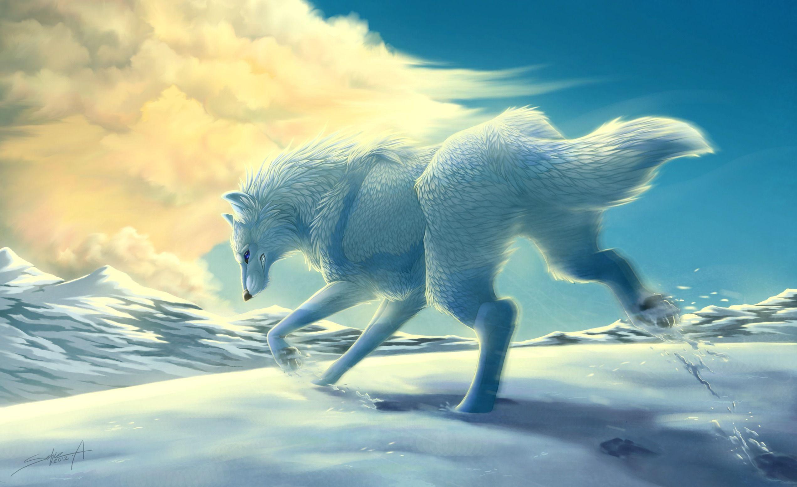 Snow, wolf wallpaper and image, picture, photo
