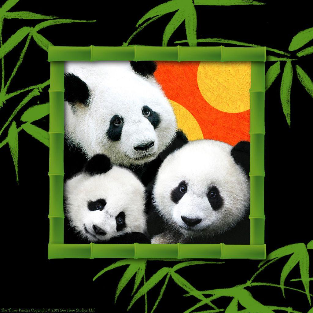 The Three Pandas iPad Storybook. See Here Studios