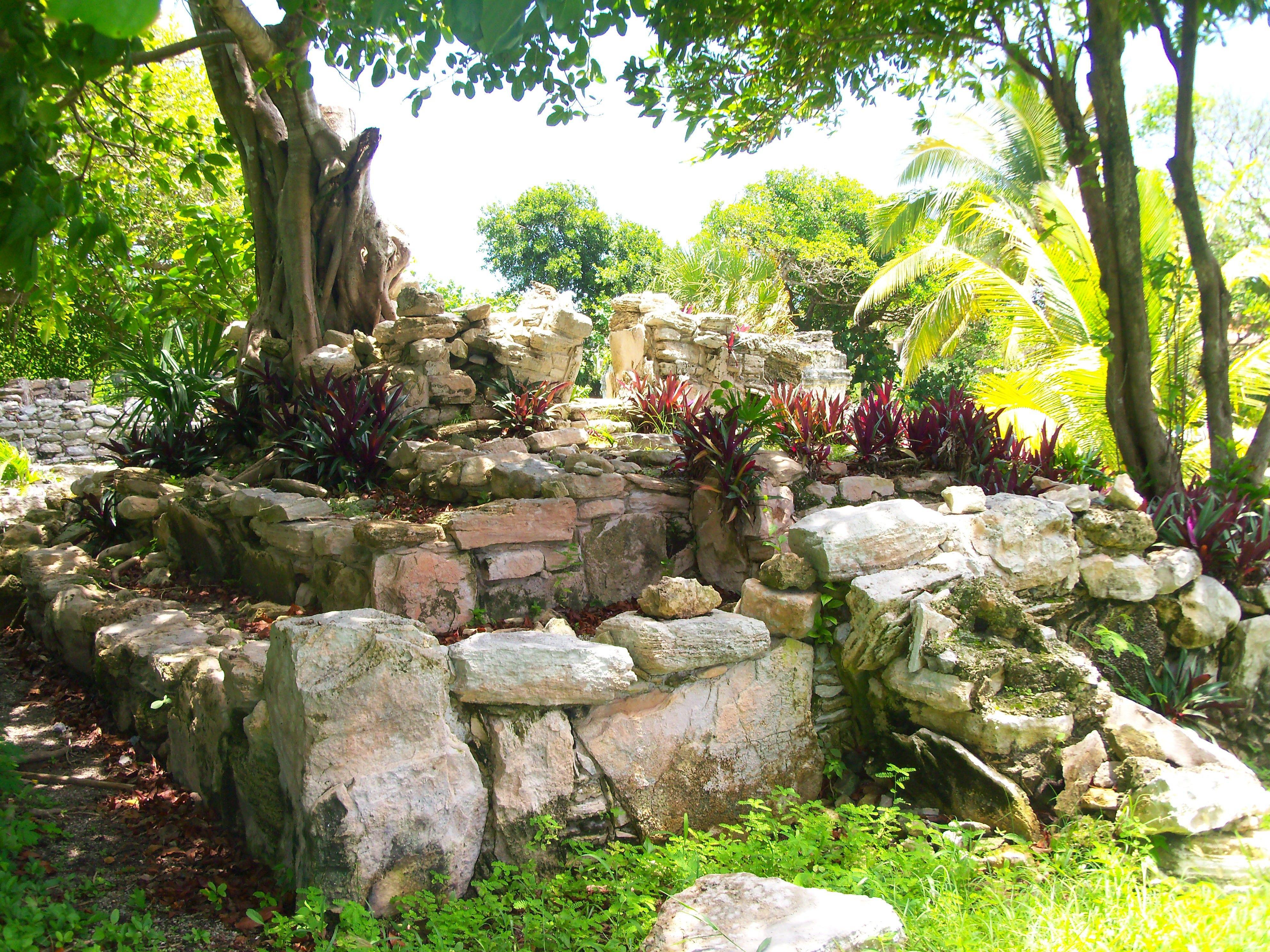 Ancient: Aztec Ruins Playa Del Carmen Mexico Jungle Nature