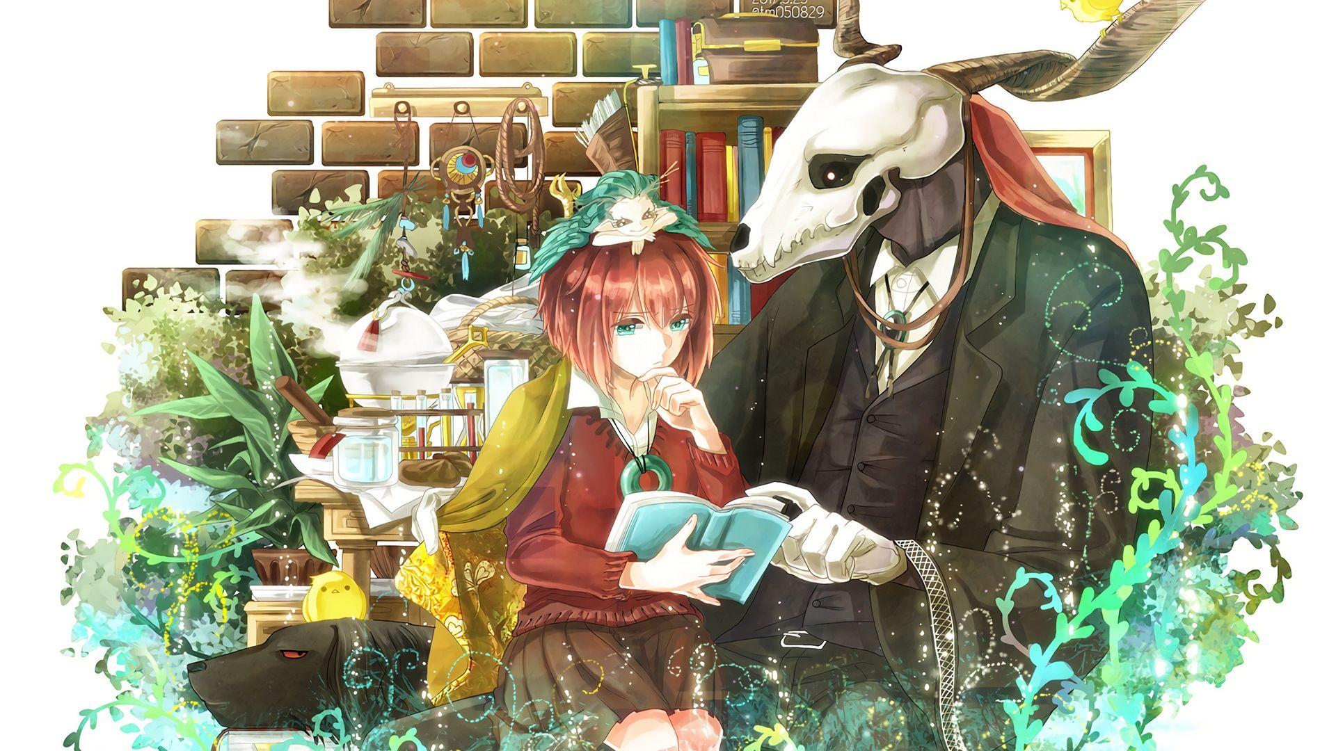 Wallpaper : Mahoutsukai no Yome, anime girls, looking at viewer, flowers  1920x1080 - daike12123 - 2237460 - HD Wallpapers - WallHere