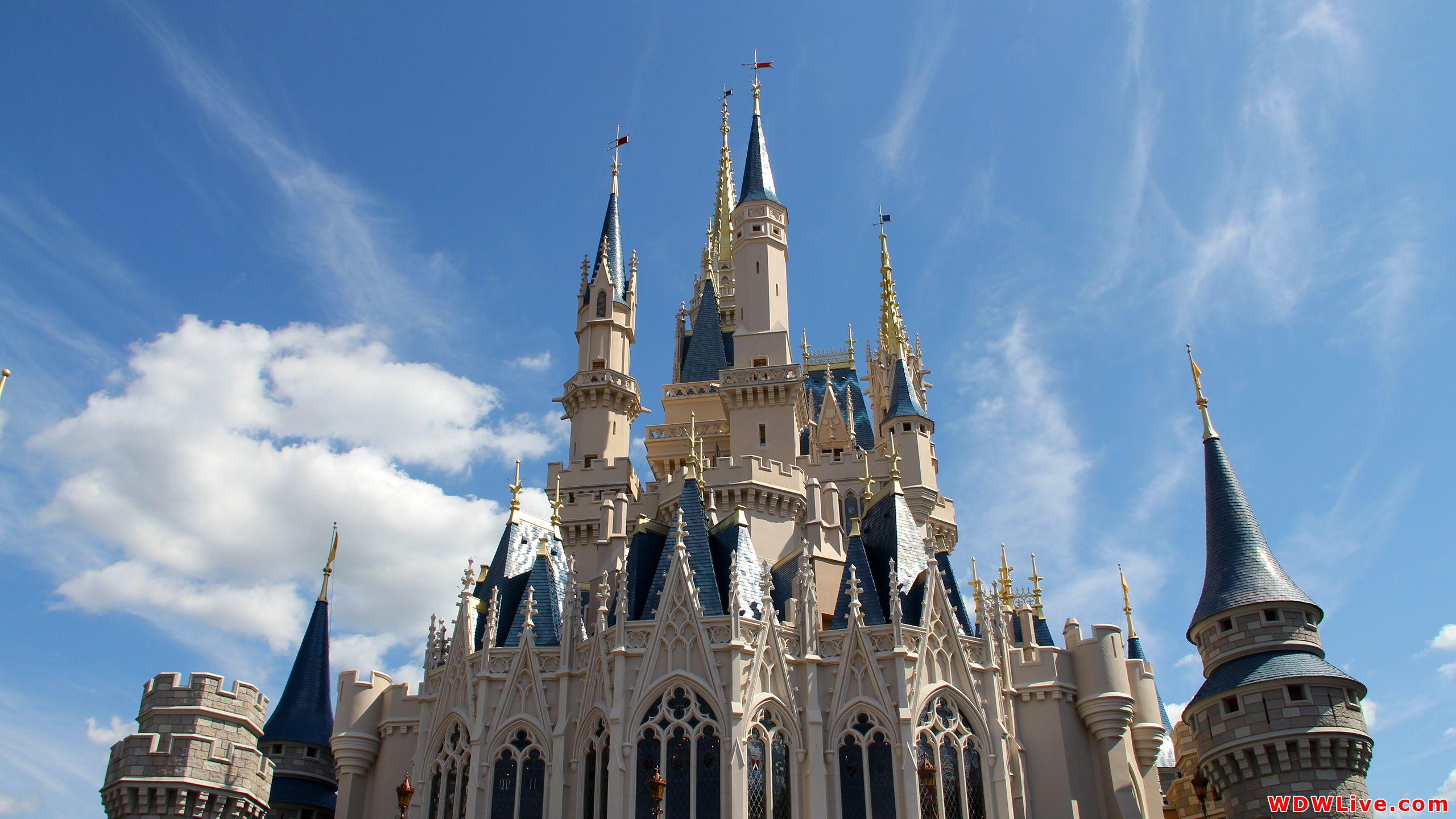 Cinderella Castle: The back of Cinderella Castle against a