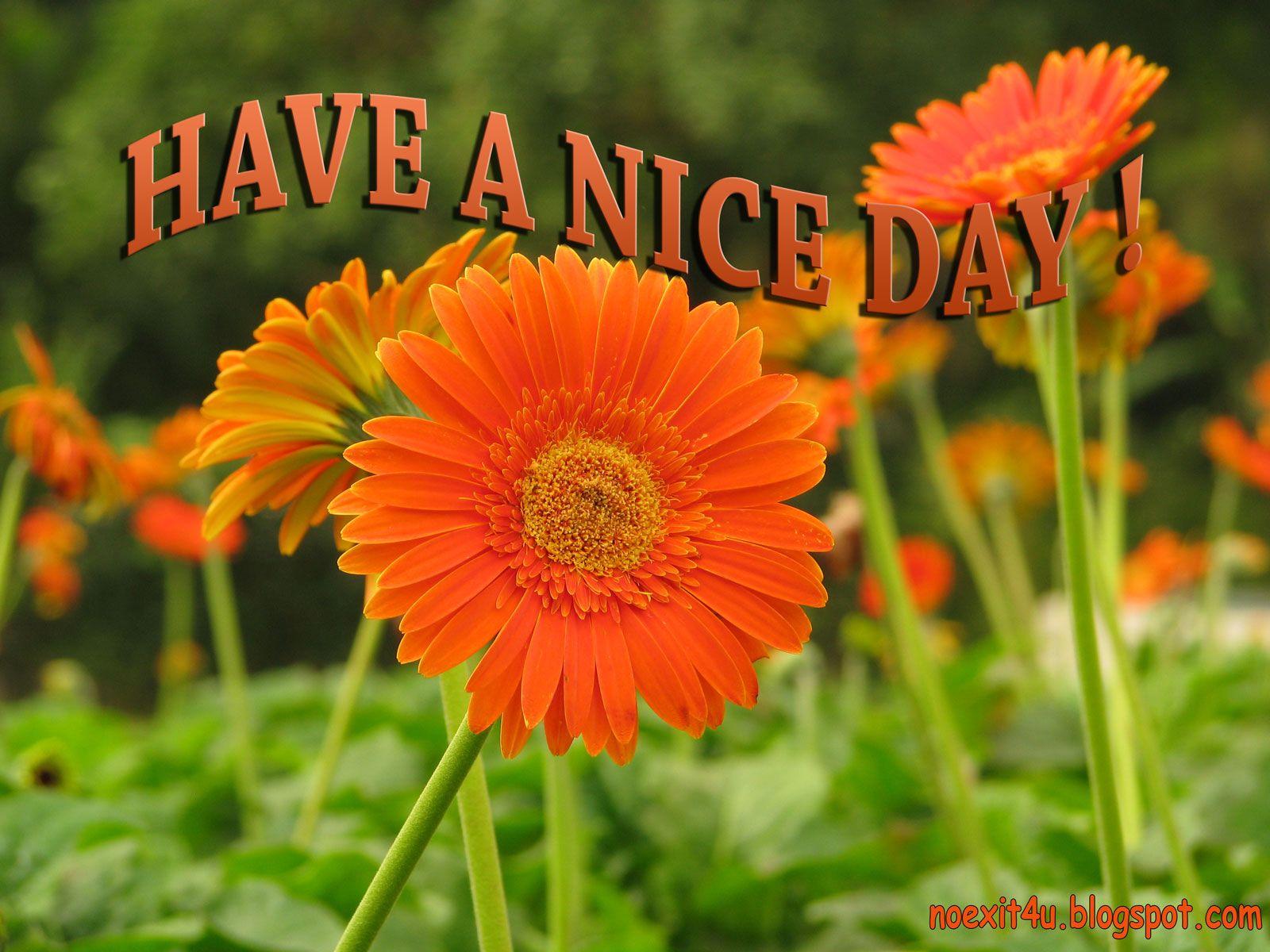 HIGH DEFINITION HAVE A NICE DAY WALLPAPER noexit4u.com