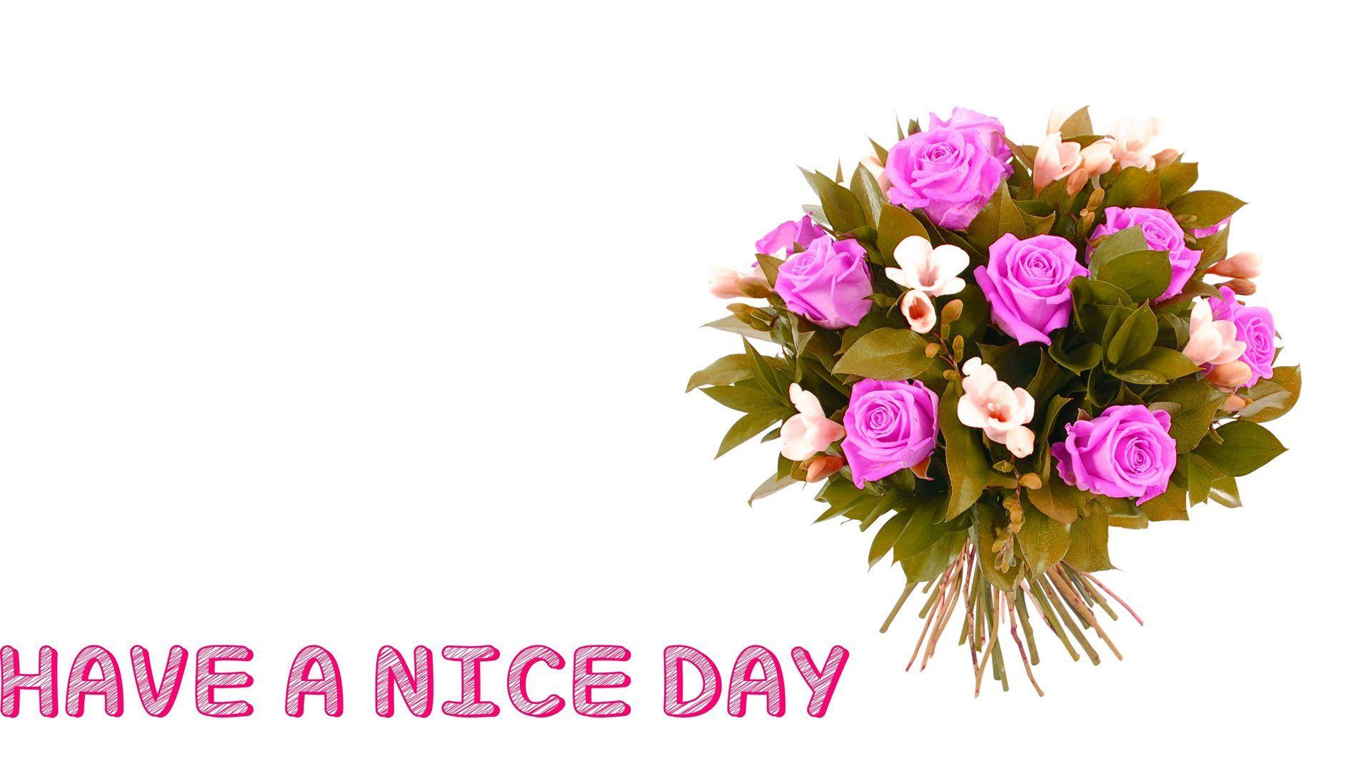 Have A Nice Day Good Morning Flowrs Bunch HD Wallpaper