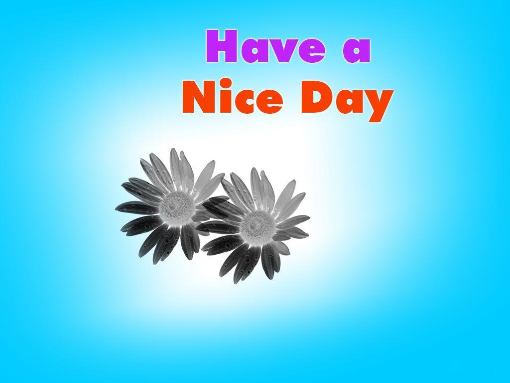 nice day wishes