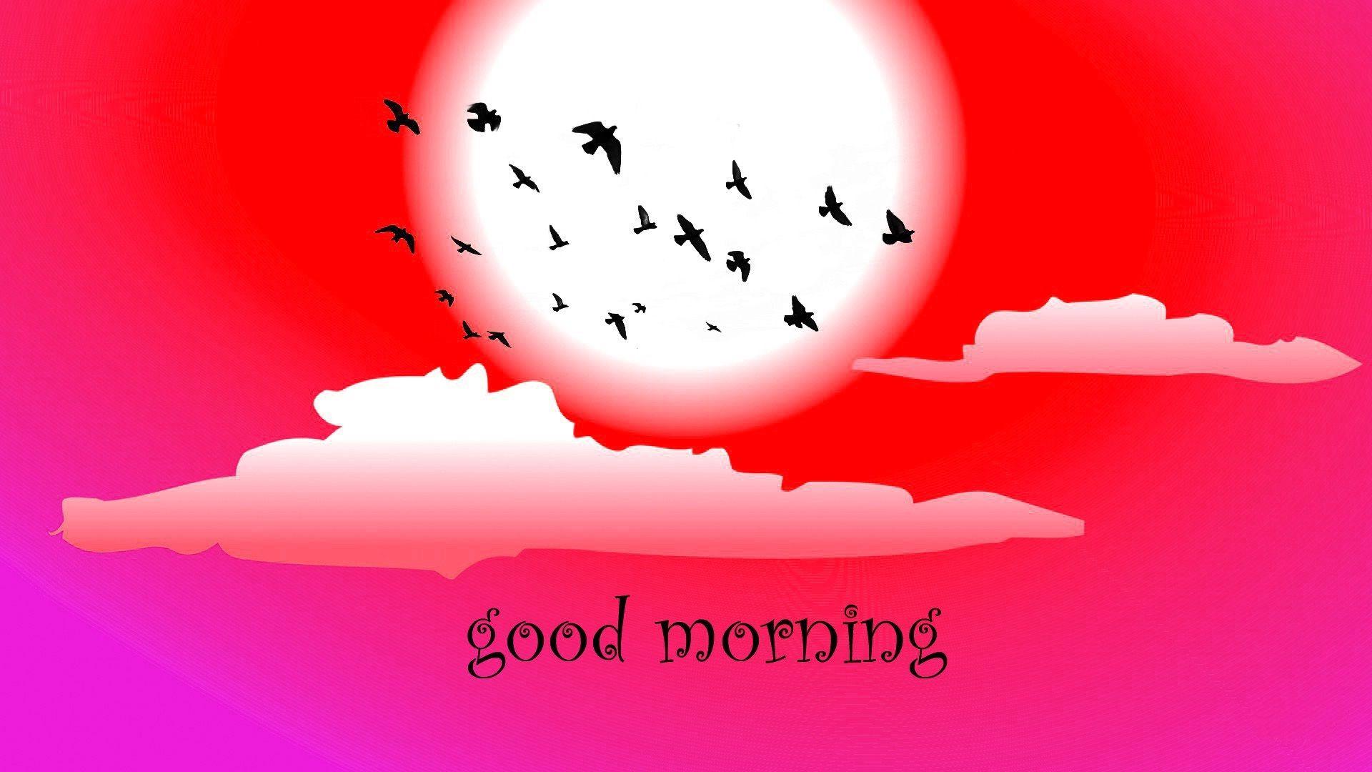 Good morning have a nice day HD wallpaperNew HD wallpaper