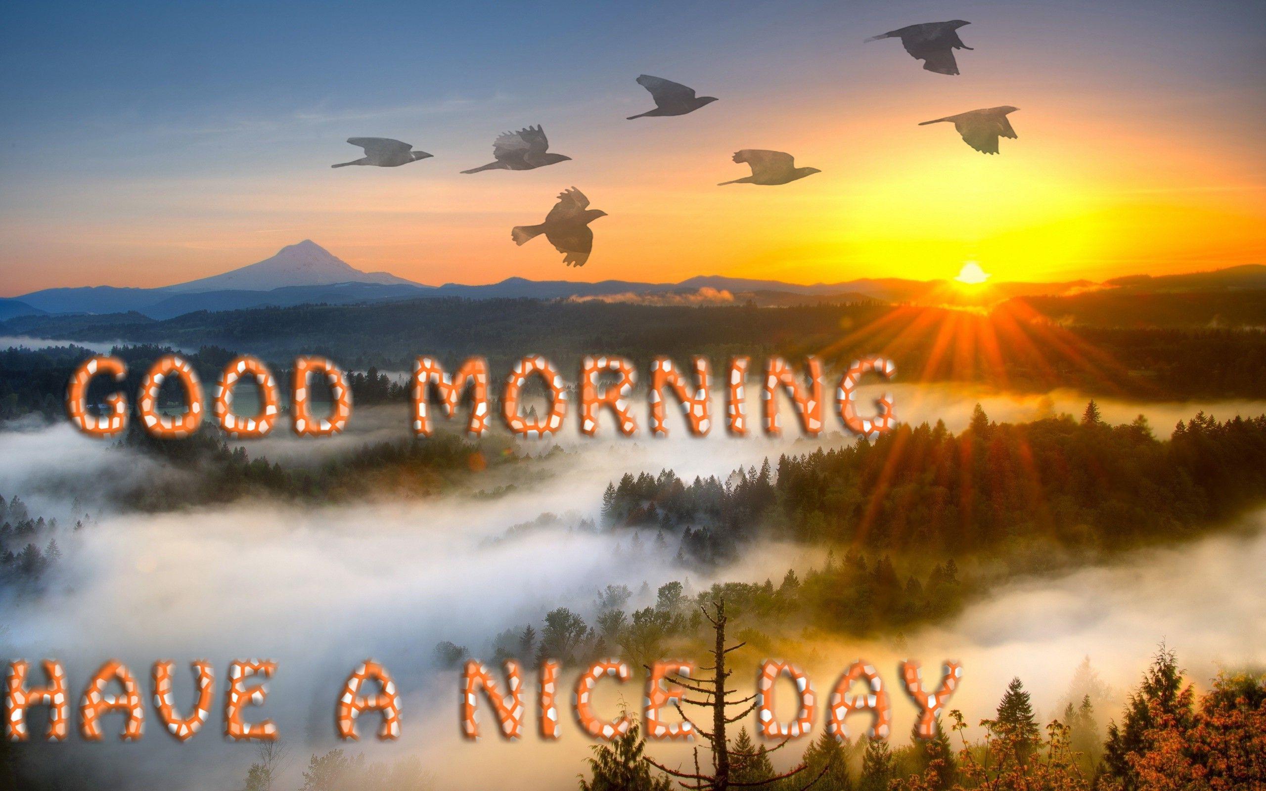 Good Morning Have A Nice Day Wallpaper