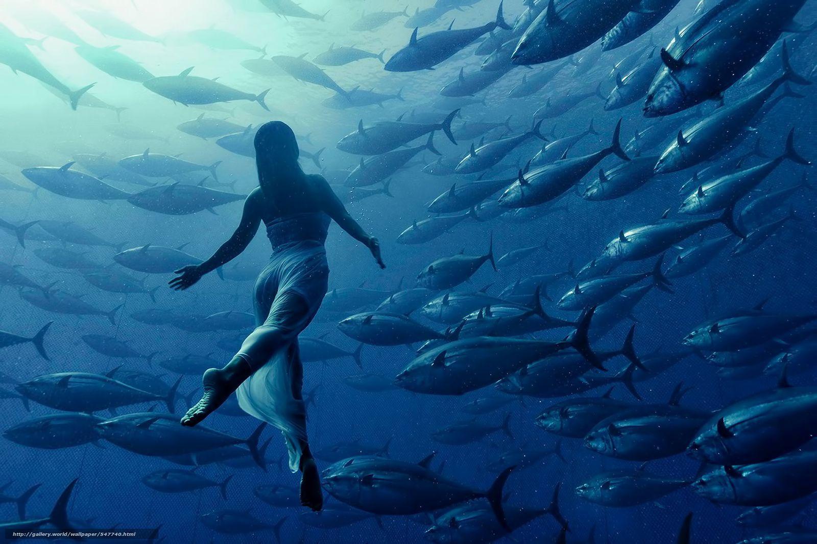 Download wallpaper girl, FISH, tuna, underwater free desktop