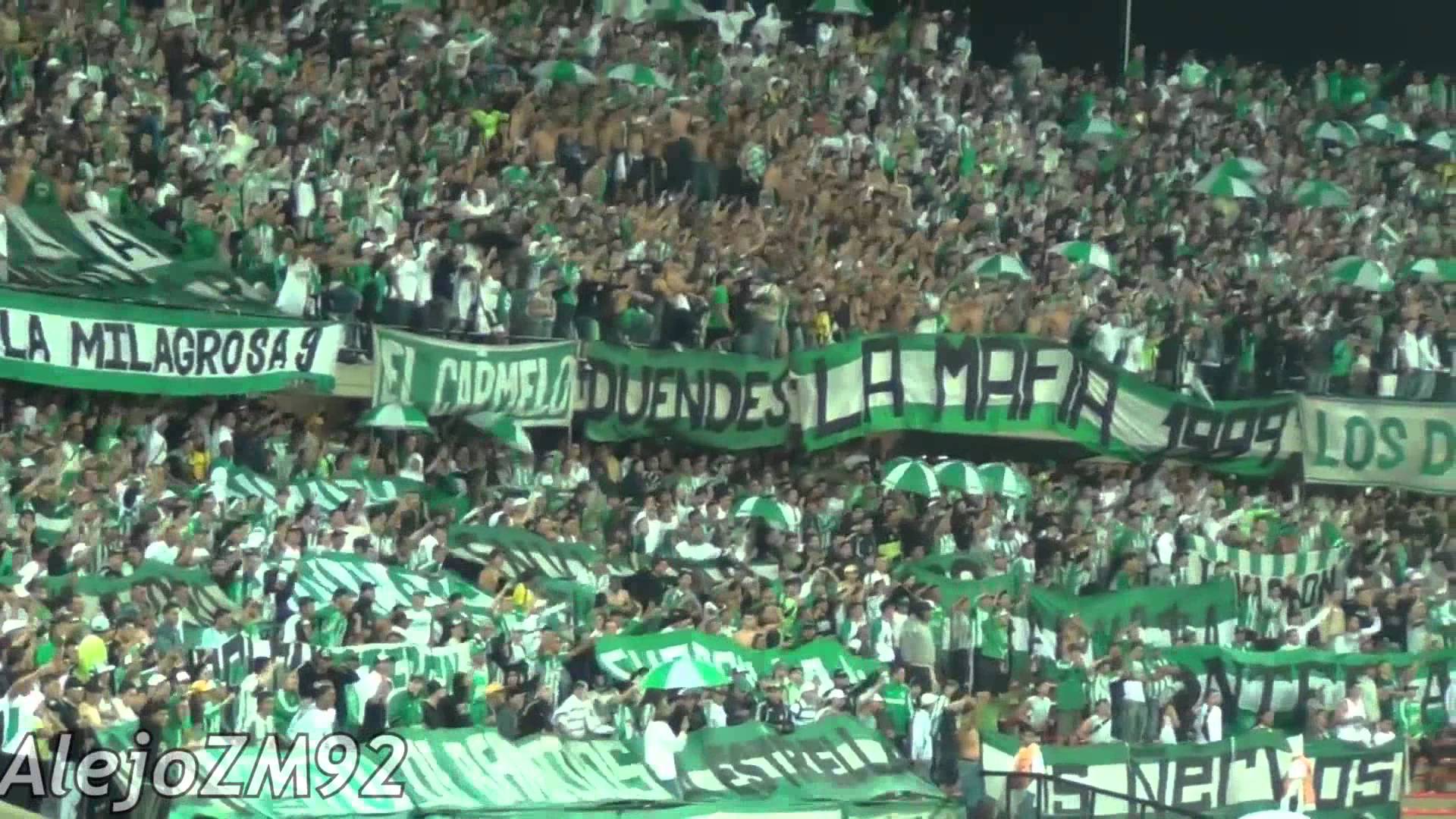 HD Vamos Mi Verde Del Sur / Atlético Nacional