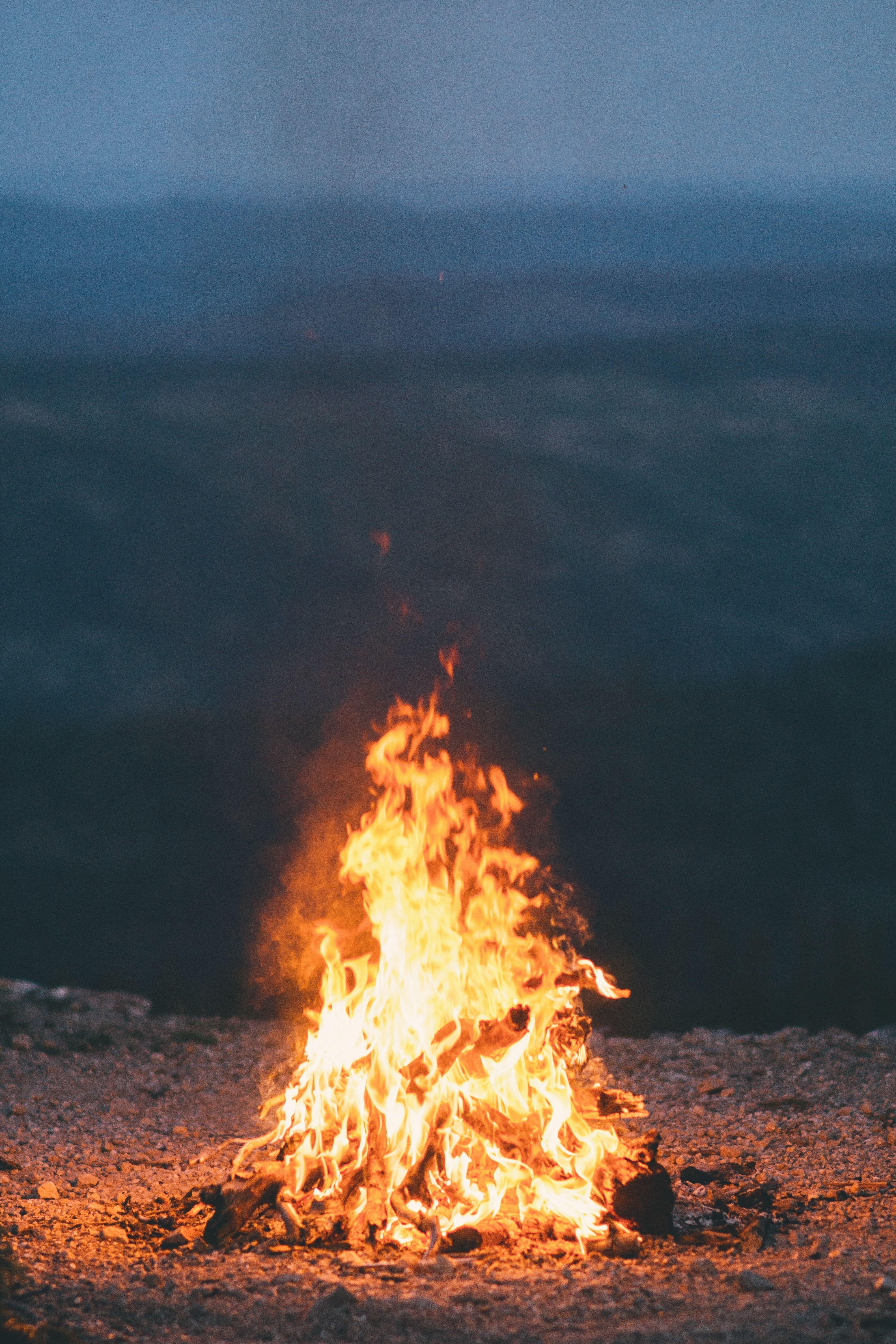 fire, flame, burn, bonfire, no people, burning free image