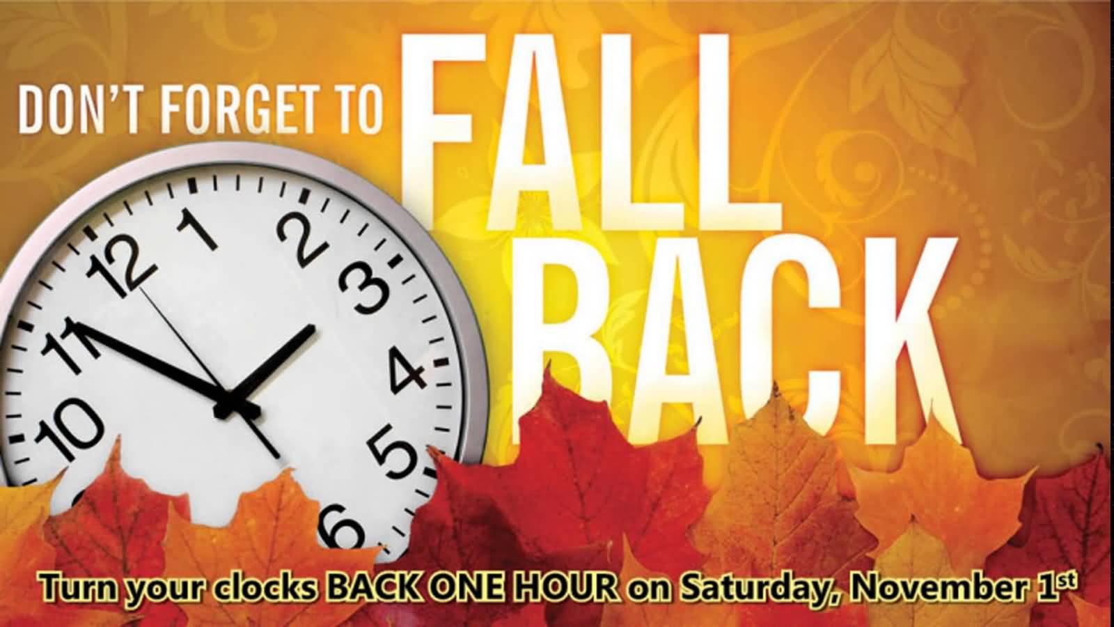 Don't Forget To Fall Back Turn Your Clocks Back One Hour Daylight
