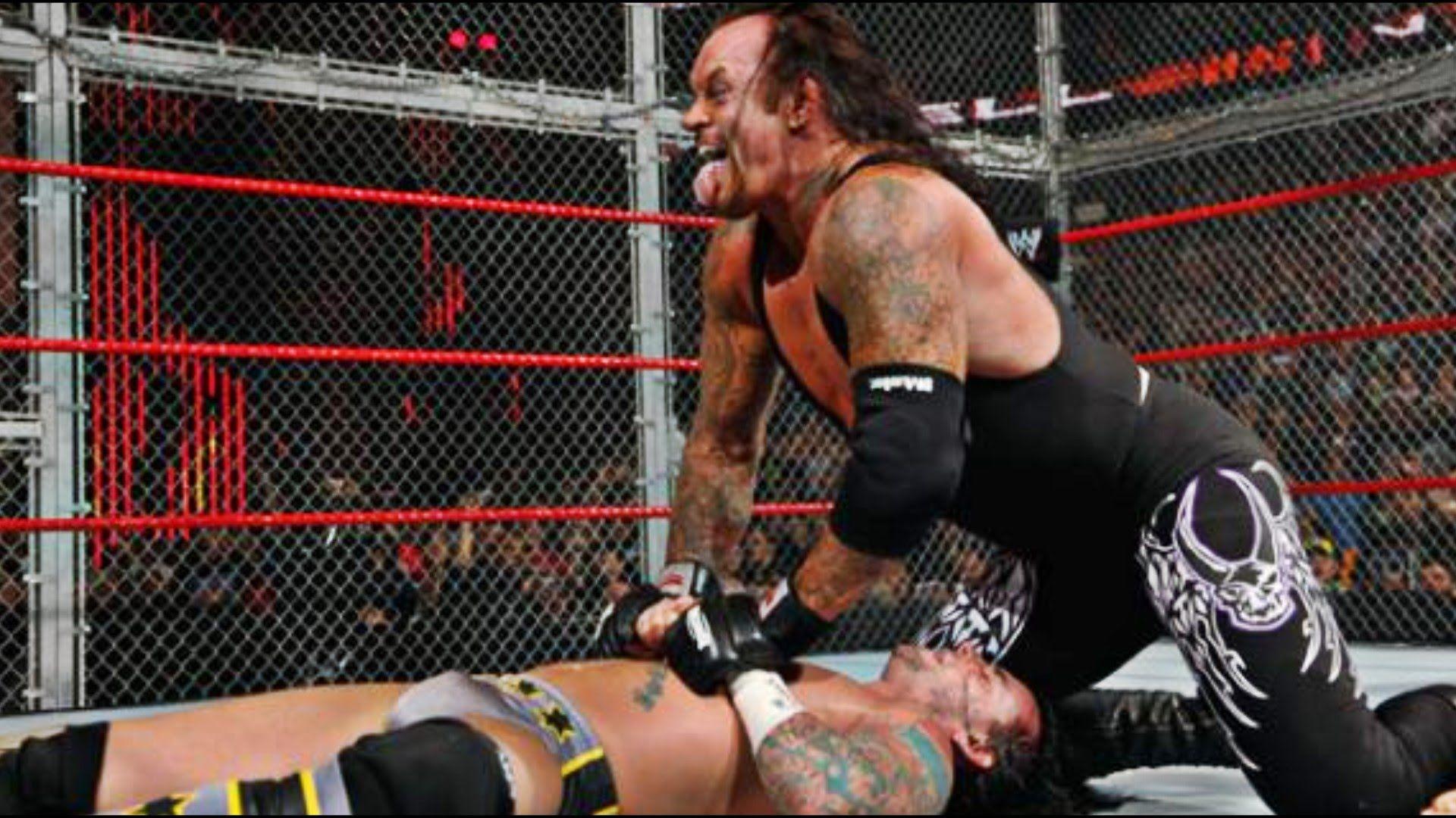The Undertaker Vs Cm Punk Hell In A Cell 2009 highlights