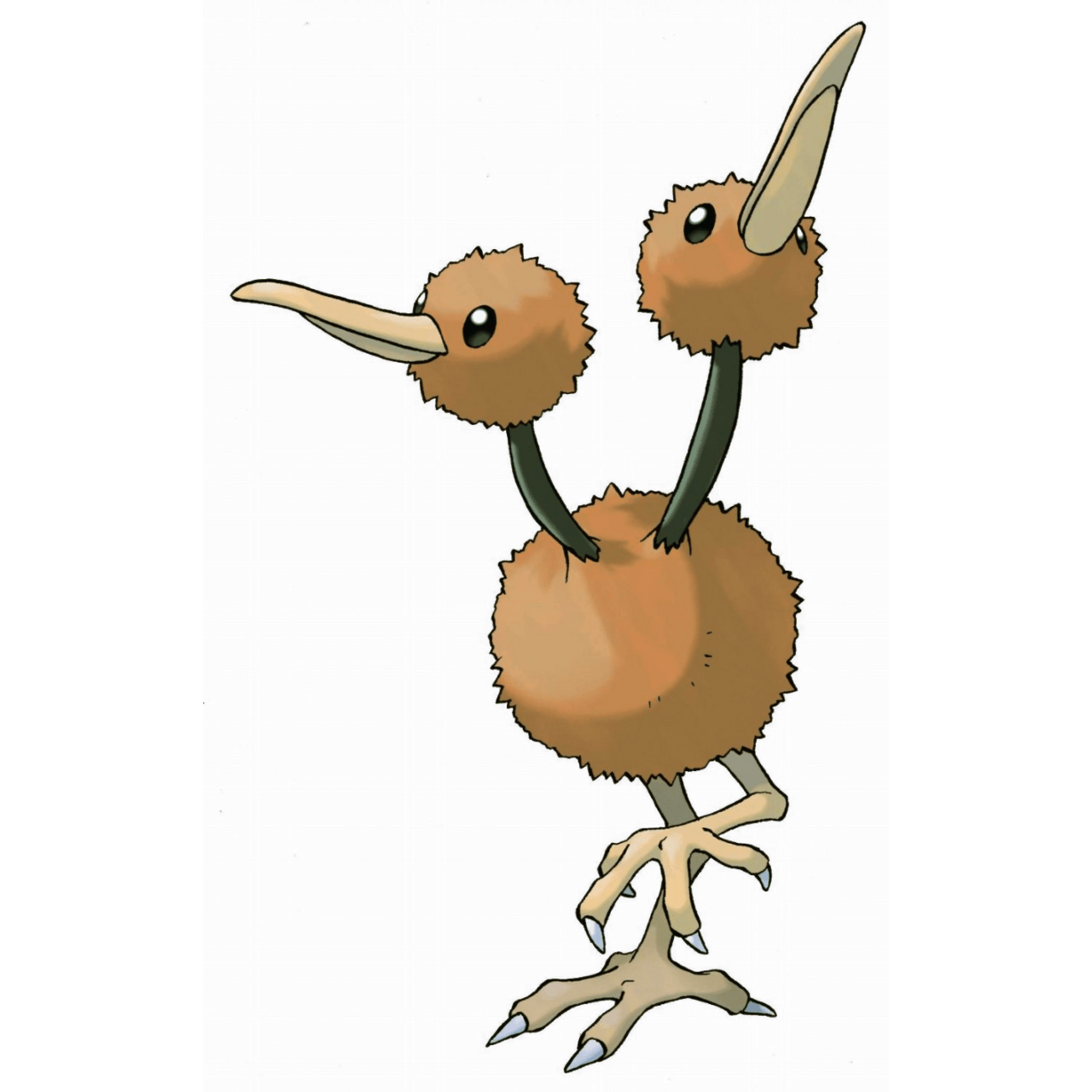 Doduo. Full HD Picture