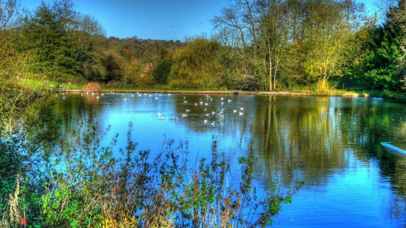 Lakes: Sunset Mountain Meditation Quiet Place Grass Lake Water