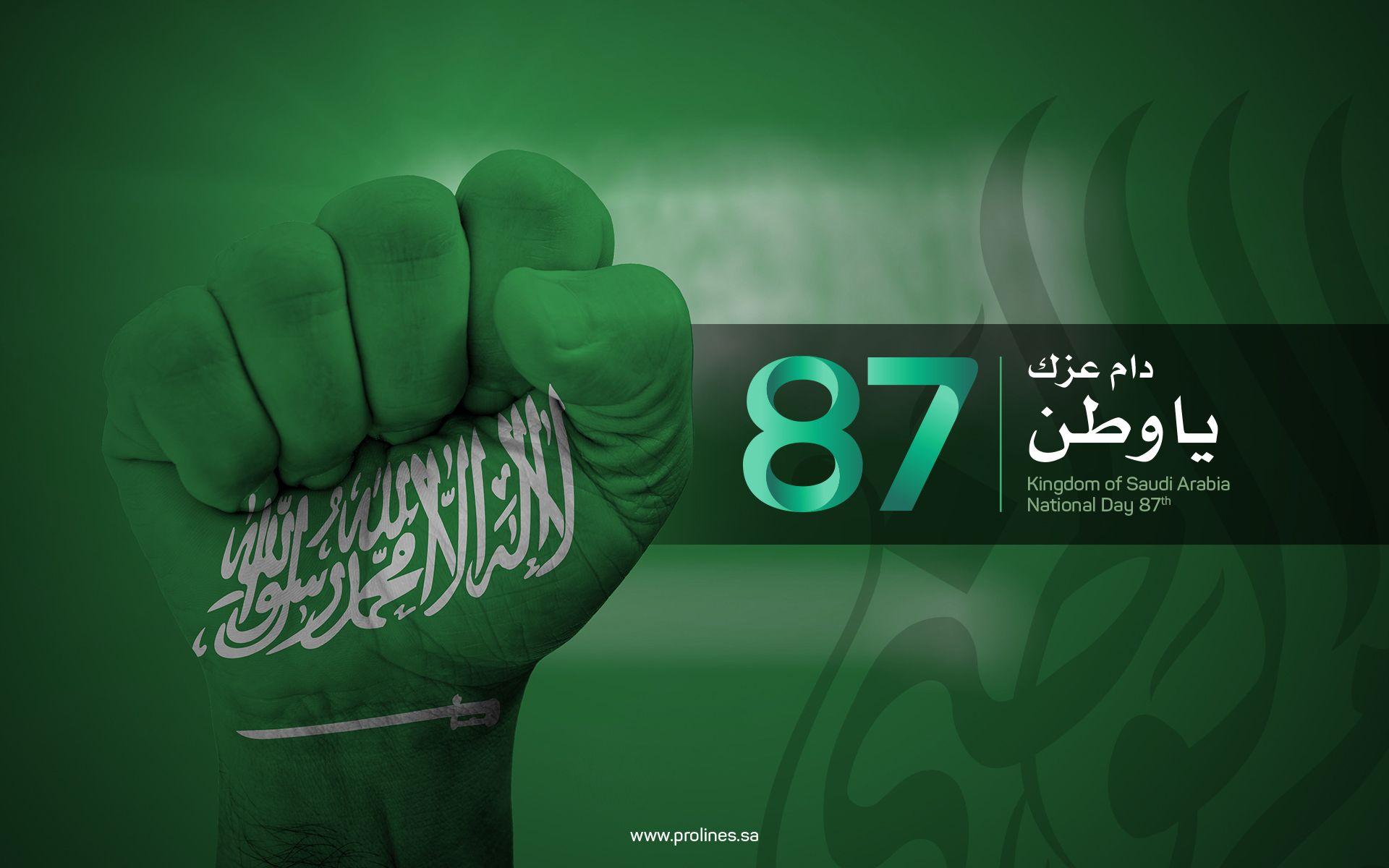 Prolines. Best Web Design & Graphic Design Company Jeddah, Riyadh