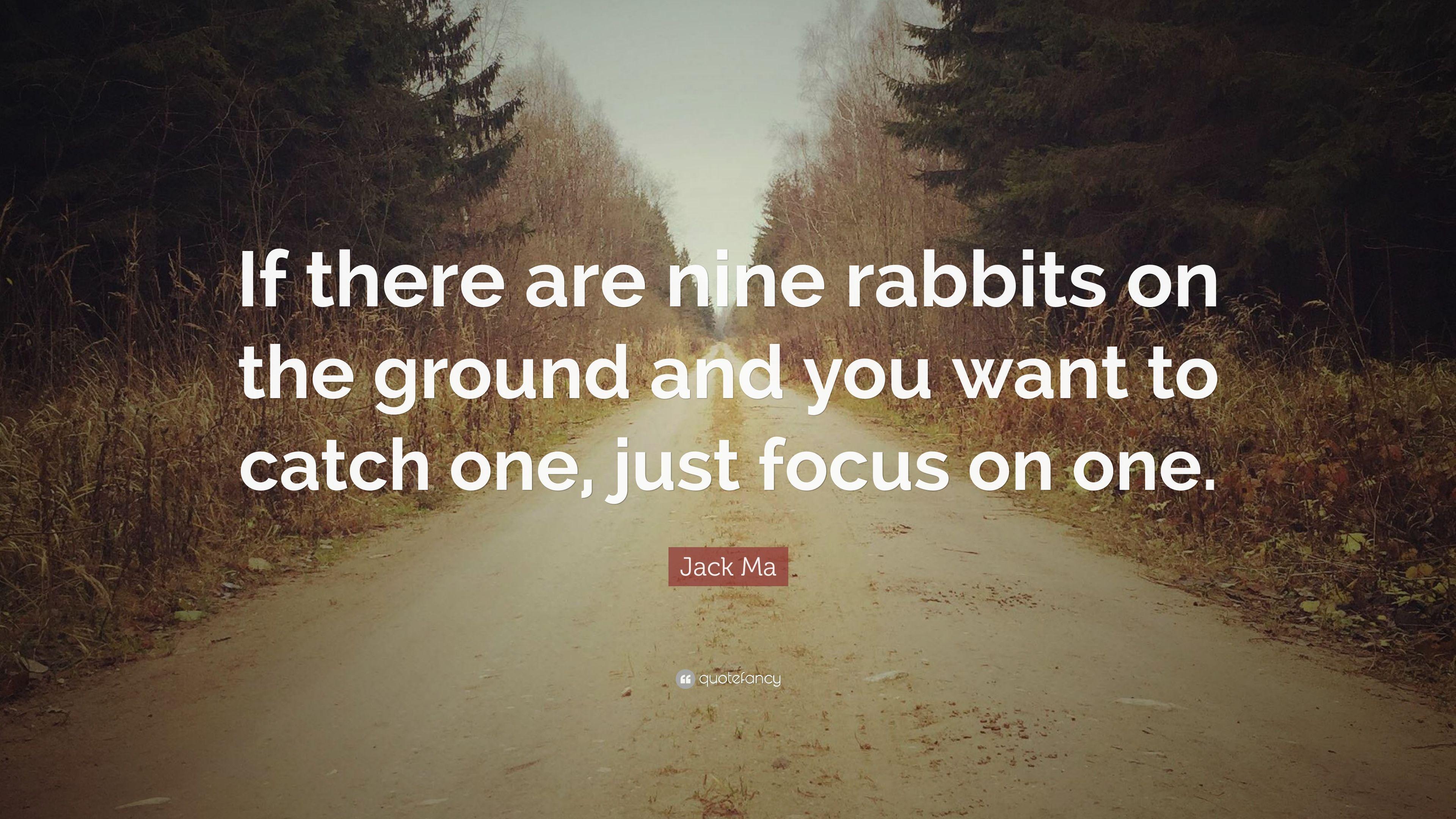 Jack Ma Quote: “If there are nine rabbits on the ground and you