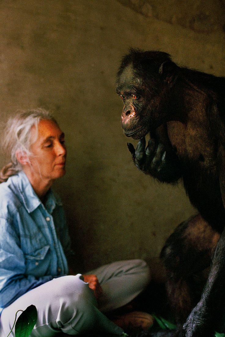 best my hero image. Wild animals, Jane goodall