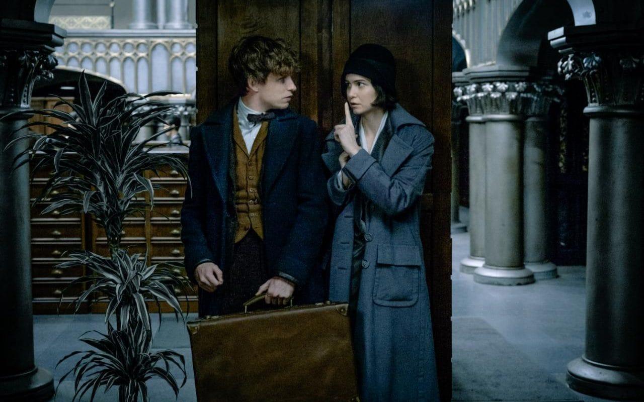 Who is Leta Lestrange, the mysterious absent character
