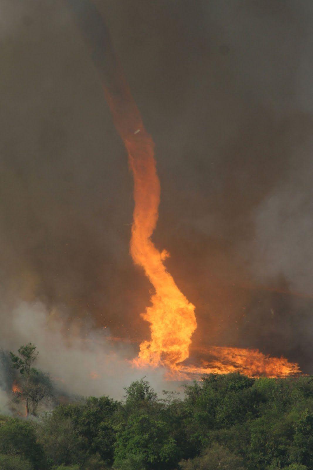 Extremely rare shot of a fire whirl by Photojournalist Edio Junior