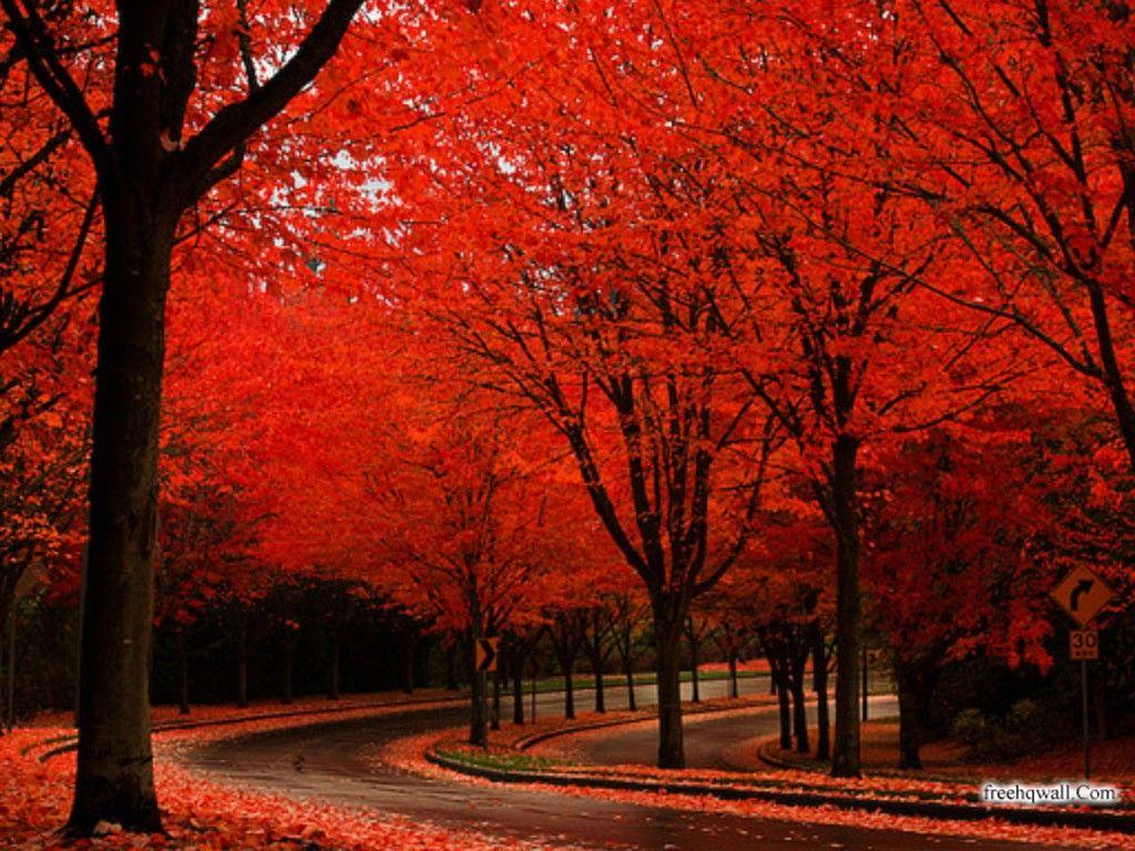 Wallpaper Nature New Wallpaper.Com