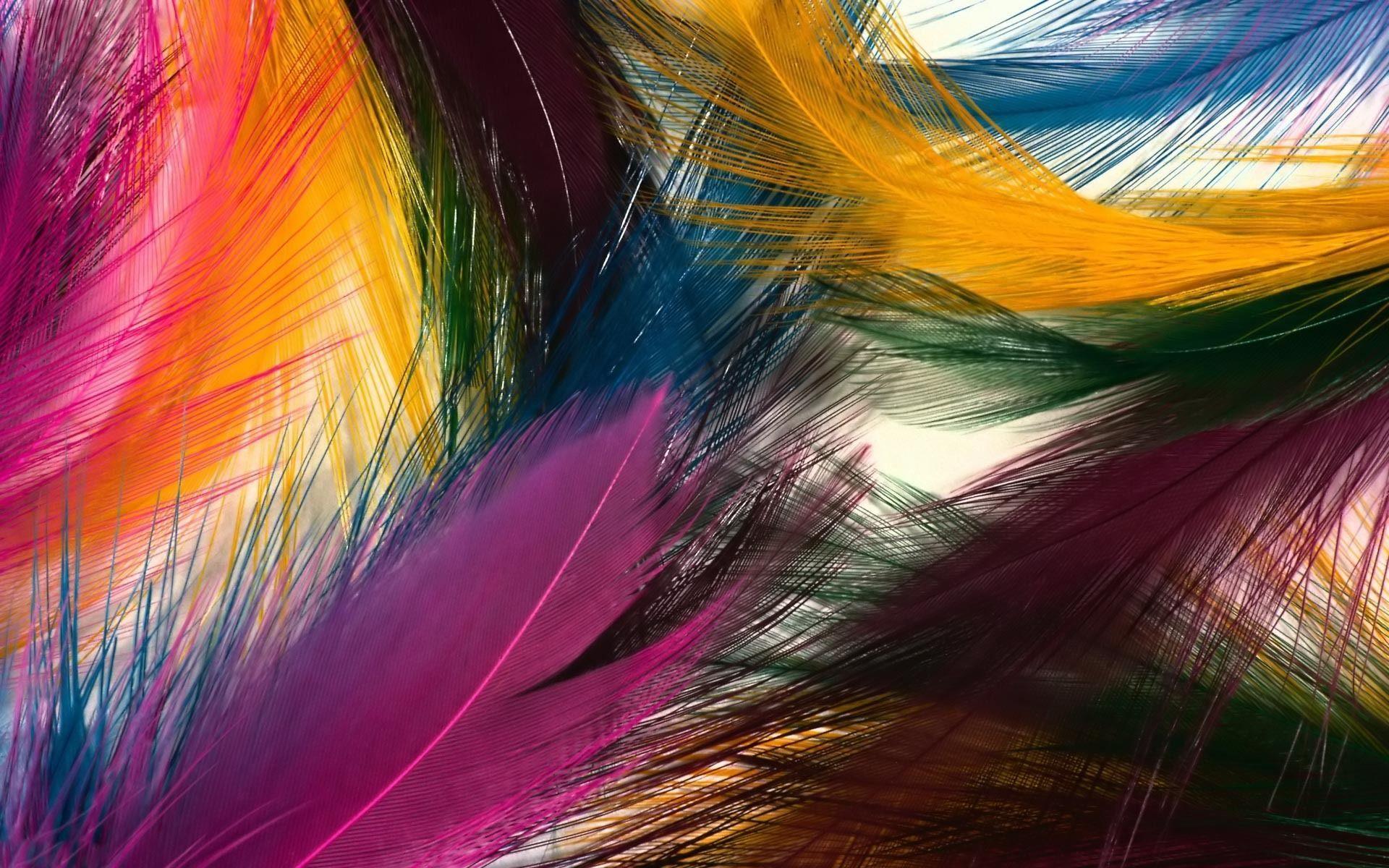 Ultra HD Feather Image 545.79 Kb, Wallpaper and Picture
